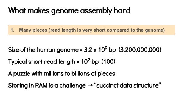 dfind old genome assemblies dfind old genome assemblies