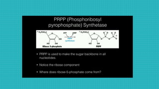 de novo pathway for purine  biosynthesis.pptx