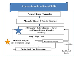Structure-based Drug Design (SBDD)
Molecular Biology & Protein Chemistry
3D Structure Determination of Target
and Target-Ligand Complex
Modelling
Structure Analysis
and Compound Design
Biological Testing
Synthesis of New Compounds
If promising
Pre-Clinical
Studies
Drug Design Cycle
Natural ligand / Screening
 
