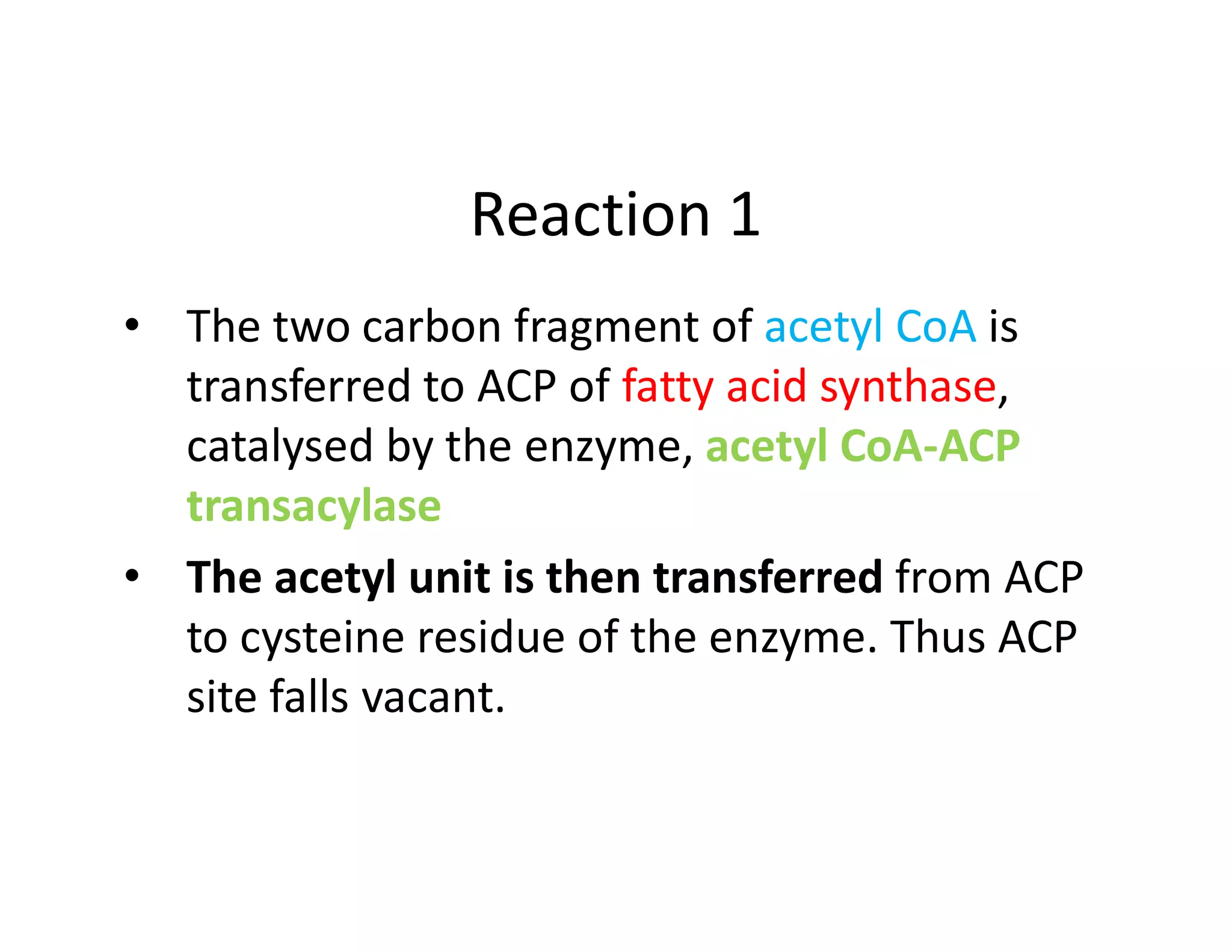 De Novo Synthesis of fatty acids | Biosynthesis Of Fatty Acids | | PDF