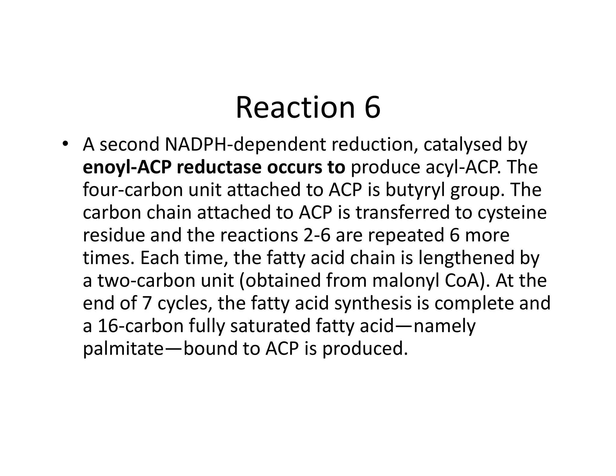 De Novo Synthesis of fatty acids | Biosynthesis Of Fatty Acids | | PDF