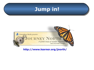 Jump in! http://www.learner.org/jnorth/ 