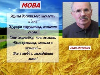 Жита достиглого шелести
п’яні,
Журкіт струмочка, вогненне
слово,
Спів соловейка, ночі весняні,
Біла хатинка, могила в
тумані –
Все в тобі є, мелодійная
мово!
Іван Цитович
МОВА
 