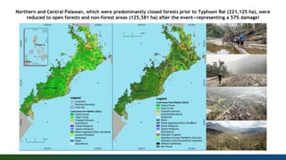Northern and Central Palawan, which were predominantly closed forests prior to Typhoon Rai (221,125 ha), were
reduced to open forests and non-forest areas (125,581 ha) after the event—representing a 57% damage!
 
