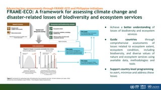 FRAME-ECO: A framework for assessing climate change and
disaster-related losses of biodiversity and ecosystem services
Advancing loss assessments through FRAME-ECO and Philippine initiatives
● Achieve a better understanding of
losses of biodiversity and ecosystem
services
● Guide countries through
comprehensive assessments of
losses related to ecosystem extent,
ecosystem condition, including
biodiversity, and diverse values of
nature and ecosystem services using
available data, methodologies and
tools
● Support country-level programming
to avert, minimize and address these
losses
 
