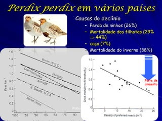 Perdix perdix em vários países
               Causas do declínio
                     – Perda de ninhos (26%)
            ...