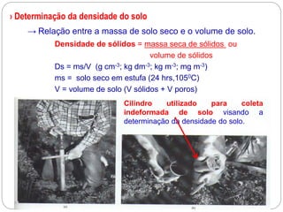 › Determinação da densidade do solo
• Densidade de sólidos = massa seca de sólidos ou
• volume de sólidos
• Ds = ms/V (g cm-3; kg dm-3; kg m-3; mg m-3)
• ms = solo seco em estufa (24 hrs,1050C)
• V = volume de solo (V sólidos + V poros)
•→ Relação entre a massa de solo seco e o volume de solo.
Cilindro utilizado para coleta
indeformada de solo visando a
determinação da densidade do solo.
 