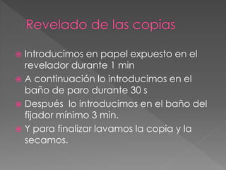  Introducimos en papel expuesto en el
revelador durante 1 min
 A continuación lo introducimos en el
baño de paro durante 30 s
 Después lo introducimos en el baño del
fijador mínimo 3 min.
 Y para finalizar lavamos la copia y la
secamos.
 