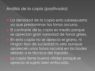 Análisis de la copia (positivado):
 La densidad de la copia esta subexpuesta
ya que predominan los tonos oscuros.
 El contraste de la copia es medio porque
se aprecian gran variedad de tonos grises.
 En esta copia no se aprecia el grano, ni
ningún tipo de suciedad ni velo aunque
aparecen unos tonos oscuros en los bodes
debido a la técnica del tapado.
 La copia tiene buena nitidez porque se
aprecia al sujeto bien enfocado.
 