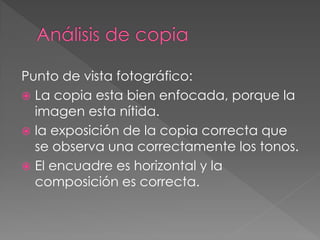 Punto de vista fotográfico:
 La copia esta bien enfocada, porque la
imagen esta nítida.
 la exposición de la copia correcta que
se observa una correctamente los tonos.
 El encuadre es horizontal y la
composición es correcta.
 