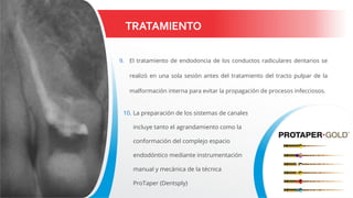 TRATAMIENTO
9. El tratamiento de endodoncia de los conductos radiculares dentarios se
realizó en una sola sesión antes del tratamiento del tracto pulpar de la
malformación interna para evitar la propagación de procesos infecciosos.
10. La preparación de los sistemas de canales
incluye tanto el agrandamiento como la
conformación del complejo espacio
endodóntico mediante instrumentación
manual y mecánica de la técnica
ProTaper (Dentsply)
 