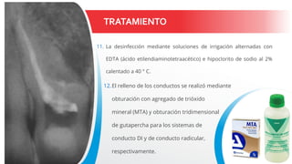 TRATAMIENTO
11. La desinfección mediante soluciones de irrigación alternadas con
EDTA (ácido etilendiaminotetraacético) e hipoclorito de sodio al 2%
calentado a 40 ° C.
12.El relleno de los conductos se realizó mediante
obturación con agregado de trióxido
mineral (MTA) y obturación tridimensional
de gutapercha para los sistemas de
conducto DI y de conducto radicular,
respectivamente.
 