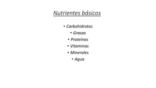 Nutrientes básicos
• Carbohidratos
• Grasas
• Proteínas
• Vitaminas
• Minerales
• Agua
 