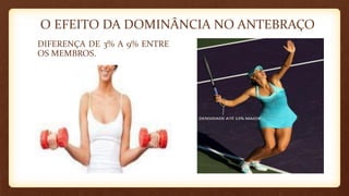 O EFEITO DA DOMINÂNCIA NO ANTEBRAÇO
DIFERENÇA DE 3% A 9% ENTRE
OS MEMBROS.
 