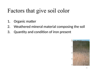 Comprehensive Overview of Soil Density, Porosity, and Color ...
