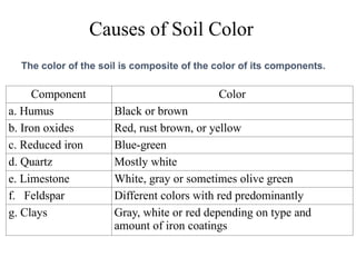 Comprehensive Overview of Soil Density, Porosity, and Color ...