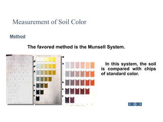Comprehensive Overview of Soil Density, Porosity, and Color ...