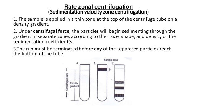 Density Gradient Centrifugation
