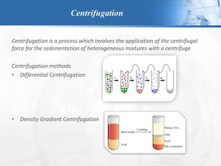 Centrifugation
Centrifugation is a process which involves the application of the centrifugal
force for the sedimentation of heterogeneous mixtures with a centrifuge
Centrifugation methods
• Differential Centrifugation
• Density Gradient Centrifugation
 