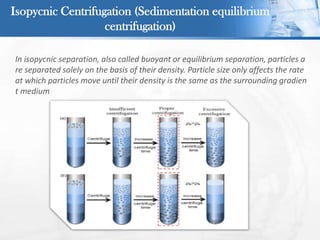 In isopycnic separation, also called buoyant or equilibrium separation, particles a
re separated solely on the basis of their density. Particle size only affects the rate
at which particles move until their density is the same as the surrounding gradien
t medium
Isopycnic Centrifugation (Sedimentation equilibrium
centrifugation)
 