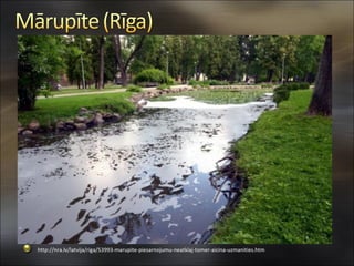 http://nra.lv/latvija/riga/53993-marupite-piesarnojumu-neatklaj-tomer-aicina-uzmanities.htm
 