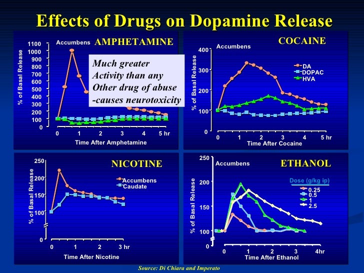 Amatuer mature gay men videos Dopamine levels of orgasm and cocaine