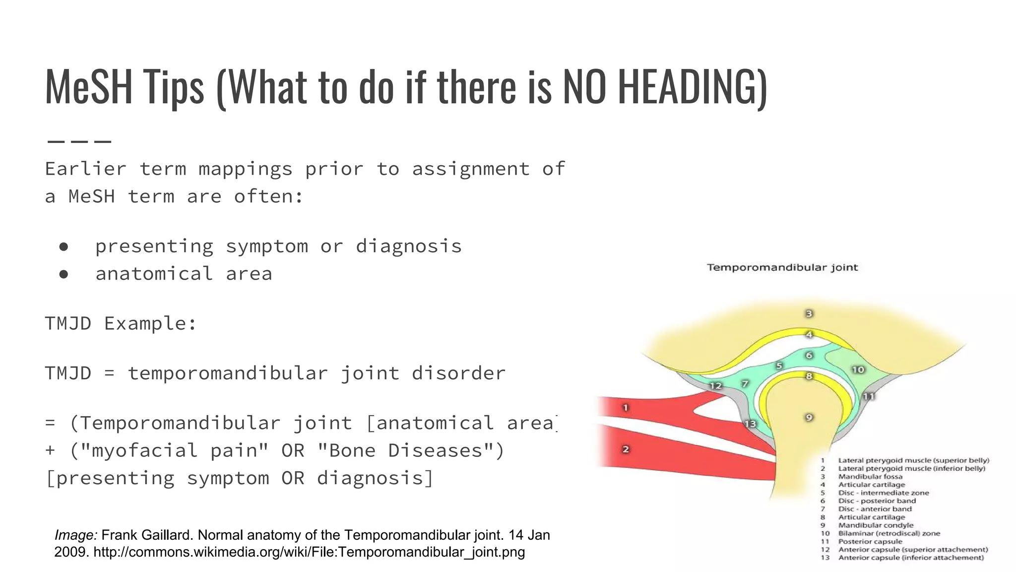 MeSH Tips (What to do if there is NO HEADING)
Earlier term mappings prior to assignment of
a MeSH term are often:
● presenting symptom or diagnosis
● anatomical area
TMJD Example:
TMJD = temporomandibular joint disorder
= (Temporomandibular joint [anatomical area]
+ ("myofacial pain" OR "Bone Diseases")
[presenting symptom OR diagnosis]
Image: Frank Gaillard. Normal anatomy of the Temporomandibular joint. 14 Jan
2009. http://commons.wikimedia.org/wiki/File:Temporomandibular_joint.png
 