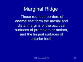 Dental Anatomy | PPT