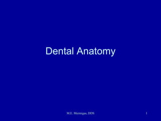 Dental Anatomy 