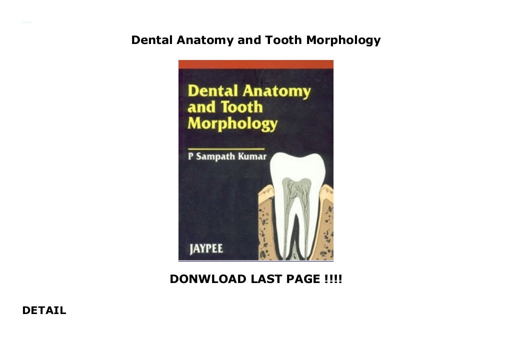 Dental Anatomy and Tooth Morphology