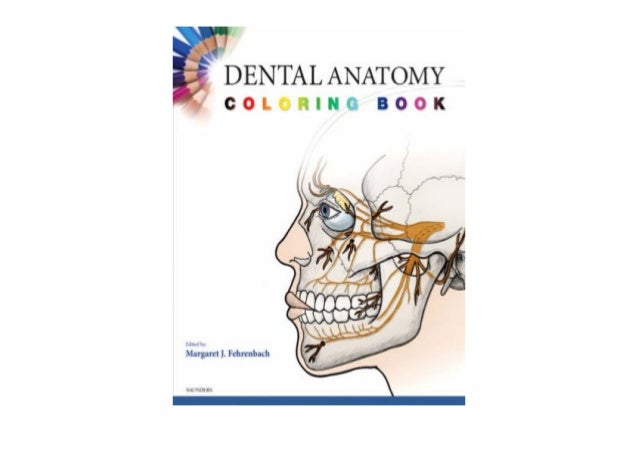Download {READ|Download Dental Anatomy Coloring Book, 1e FULL