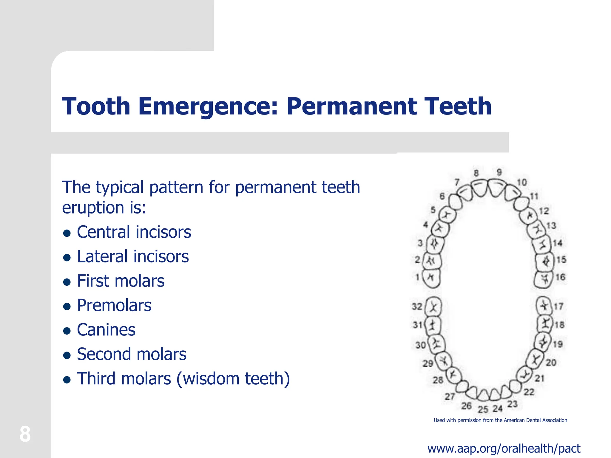 Dental -Development .ppt