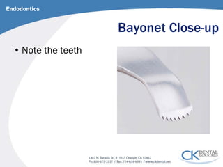 Bayonet Close-up 
Endodontics 
• 
Note the teeth  