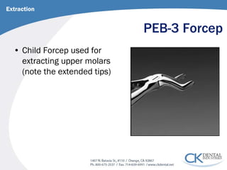 PEB-3 Forcep 
• 
Child Forcep used for extracting upper molars (note the extended tips) 
Extraction  