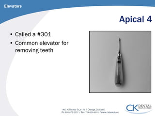 Apical 4 
• 
Called a #301 
• 
Common elevator for removing teeth 
Elevators  
