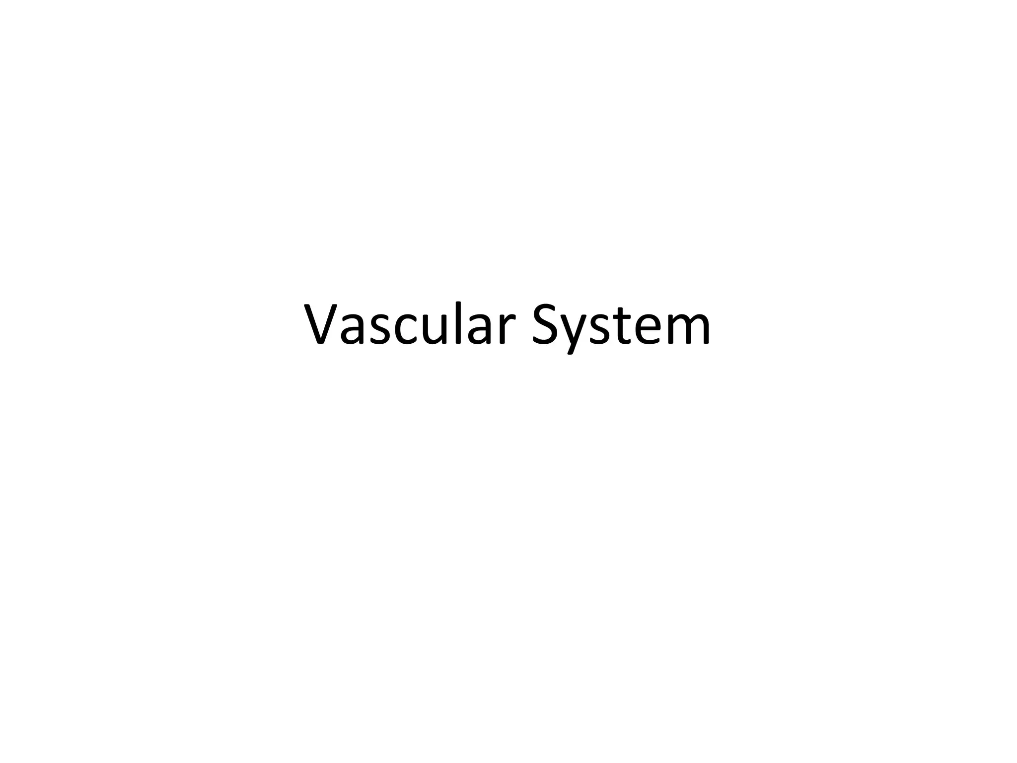 Vascular System
