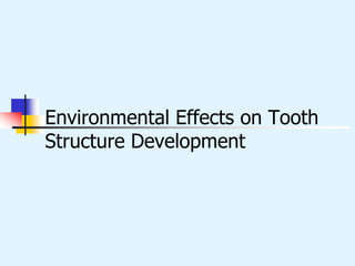 Environmental Effects on Tooth
Structure Development
 
