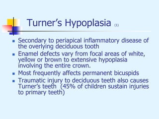Turner’s Hypoplasia (1)
 Secondary to periapical inflammatory disease of
the overlying deciduous tooth
 Enamel defects vary from focal areas of white,
yellow or brown to extensive hypoplasia
involving the entire crown.
 Most frequently affects permanent bicuspids
 Traumatic injury to deciduous teeth also causes
Turner’s teeth (45% of children sustain injuries
to primary teeth)
 