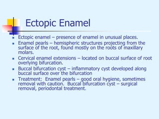 Ectopic Enamel
 Ectopic enamel – presence of enamel in unusual places.
 Enamel pearls – hemispheric structures projecting from the
surface of the root, found mostly on the roots of maxillary
molars.
 Cervical enamel extensions – located on buccal surface of root
overlying bifurcation.
 Buccal bifurcation cyst – inflammatory cyst developed along
buccal surface over the bifurcation
 Treatment: Enamel pearls – good oral hygiene, sometimes
removal with caution. Buccal bifurcation cyst – surgical
removal, periodontal treatment.
 