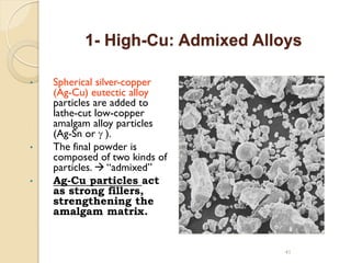 1- High-Cu: Admixed Alloys
• Spherical silver-copper
(Ag-Cu) eutectic alloy
particles are added to
lathe-cut low-copper
amalgam alloy particles
(Ag-Sn or g ).
• The final powder is
composed of two kinds of
particles.  “admixed”
• Ag-Cu particles act
as strong fillers,
strengthening the
amalgam matrix.
41
 