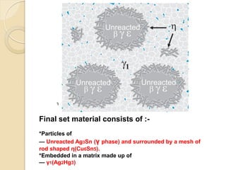 Final set material consists of :-
*Particles of
— Unreacted Ag3Sn (γ phase) and surrounded by a mesh of
rod shaped η)Cu6Sn5).
*Embedded in a matrix made up of
— γ1(Ag2Hg3)
 