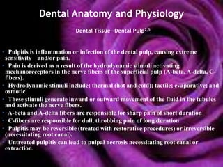 Dental anatomy | PPTX