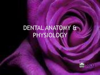 DENTAL ANATOMY & PHYSIOLOGY ,[object Object],Reviewed by:,[object Object]
