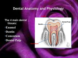 Dental Anatomy and Physiology

                               Enamel

The 4 main dental
                                        Dental Pulp
  tissues:                 Dentin

•Enamel
•Dentin
•Cementum
•Dental Pulp
                    Cementum
 