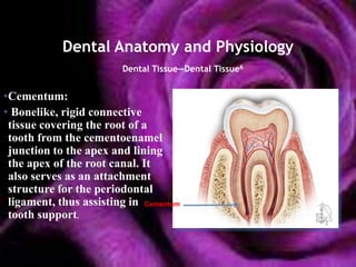 Dental Anatomy and Physiology
                        Dental Tissue—Dental Tissue6


•Cementum:
• Bonelike, rigid connective
 tissue covering the root of a
 tooth from the cementoenamel
 junction to the apex and lining
 the apex of the root canal. It
 also serves as an attachment
 structure for the periodontal
 ligament, thus assisting in Cementum
 tooth support.
 
