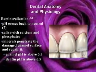 Dental Anatomy
                 and Physiology
Remineralization:7,8
•pH comes back to neutral
 (7)
•saliva-rich calcium and
 phosphates
•minerals penetrate the
 damaged enamel surface
 and repair it:
  –enamel pH is above 5.5
  –dentin pH is above 6.5
 
