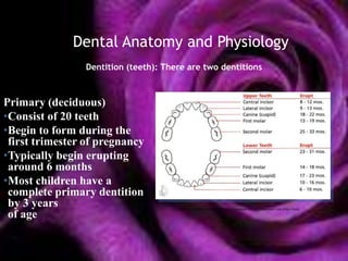 Dental Anatomy and Physiology
                Dentition (teeth): There are two dentitions



Primary (deciduous)
•Consist of 20 teeth
•Begin to form during the
 first trimester of pregnancy
•Typically begin erupting
 around 6 months
•Most children have a
 complete primary dentition
 by 3 years                          1. Oral Health for Children: Patient Education Insert. Compend Cont Educ Dent.
 of age
 