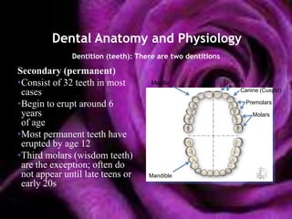 Dental Anatomy and Physiology
              Dentition (teeth): There are two dentitions

Secondary (permanent)
•Consist of 32 teeth in most         Maxilla                Incisors

 cases                                                            Canine (Cuspid)

•Begin to erupt around 6                                               Premolars

 years                                                                   Molars
 of age
•Most permanent teeth have
 erupted by age 12
•Third molars (wisdom teeth)
 are the exception; often do
 not appear until late teens or     Mandible
 early 20s
 