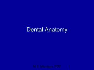 M.E. Mermigas, DDS 1
Dental Anatomy
 