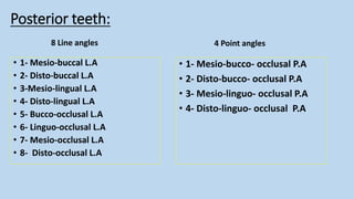 ]Dental anatomy 2.pdfنةلبةينلةبيةنلمينمةلبية | PDF
